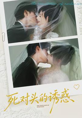 一条溪流的四季